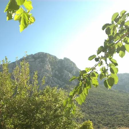 Tas Avlu Butik Hotel