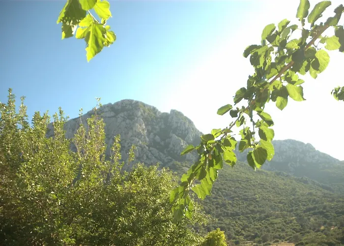 Tas Avlu Butik Hotel