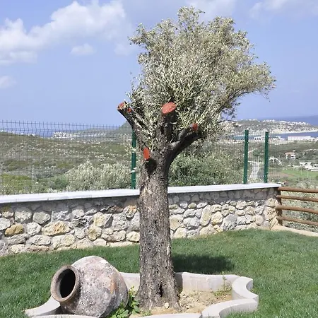 Tas Avlu Butik * Karaburun