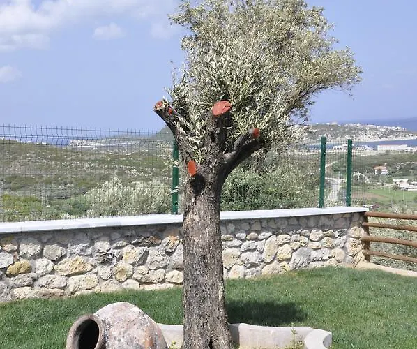 Tas Avlu Butik * Karaburun (Izmir)